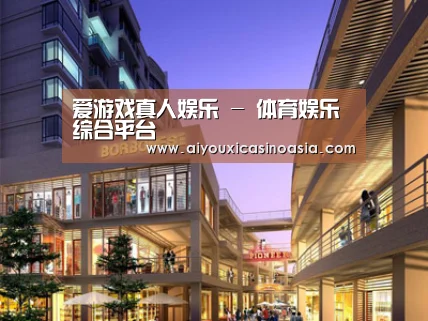 案例展示一(图1)