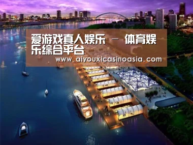 案例展示八
